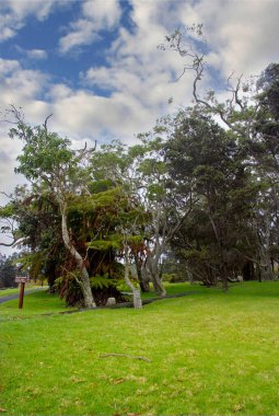 Hawaii Volkanları Ulusal Parkı 'nda Kilauea Zirvesi UNESCO Dünya Mirası Alanı, Büyük Ada, Hawaii, ABD. 11.04.2010