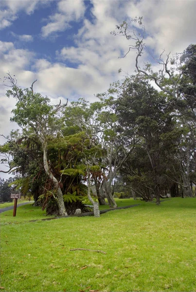 Hawaii Volkanları Ulusal Parkı 'nda Kilauea Zirvesi UNESCO Dünya Mirası Alanı, Büyük Ada, Hawaii, ABD. 11.04.2010
