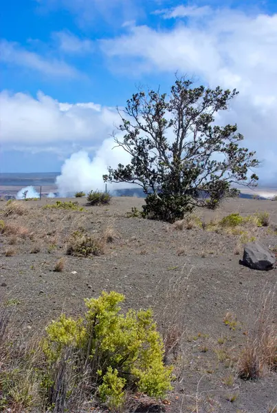 ハワイ火山国立公園 ユネスコ世界遺産 ビッグアイランド ハワイ アメリカ合衆国におけるキラウエアサミットラバ湖の喫煙 2010年11月4日 インタビュー — ストック写真