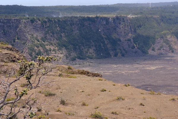 ハワイ火山国立公園のキラウエアサミット ユネスコ世界遺産 ビッグアイランド ハワイ アメリカ 2010年11月4日 インタビュー — ストック写真