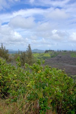 Panorama Manzarası Kalalau Vadisi, Kauai, Hawaii - Amerika Birleşik Devletleri