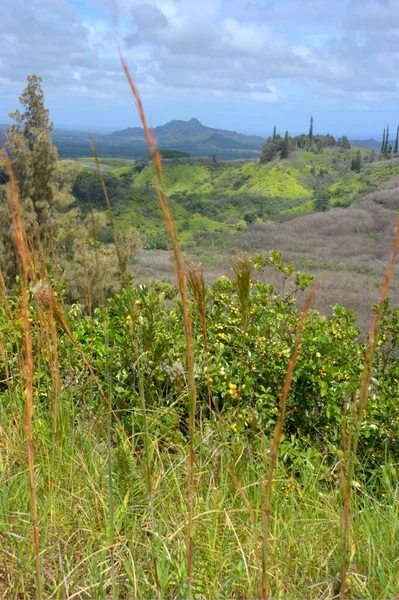 Vue Panoramique Sur Vallée Kalalau Kauai Hawaï États Unis Amérique — Photo