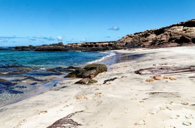 Playa de los Ojos - Los Ojos Plajı - El Puerto de la Cruz, Peninsula Jandia, Fuerteventura, Kanarya Adaları, İspanya - 21.09.2023