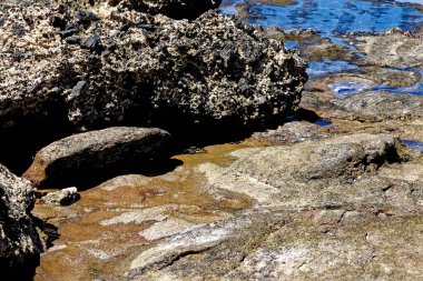Playa de los Ojos - Los Ojos Plajı - El Puerto de la Cruz, Peninsula Jandia, Fuerteventura, Kanarya Adaları, İspanya - 21.09.2023