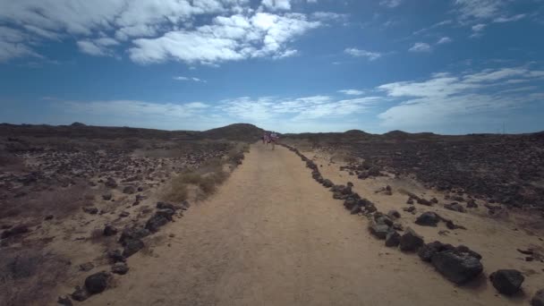 Fußweg Durch Die Typische Mondartige Vulkanlandschaft Des Islote Lobos Insel — Stockvideo