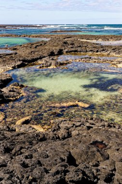 Playa de los Charcos plajının doğal gelgit havuzları - Los Laguitos Sahili 'nin doğal havuzları ya da İspanya' nın Fuerteventura, Kanarya Adaları 'ndaki Los Charcos. 24.09.2023