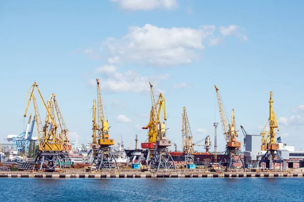 Heavy Lifting Harbor Cranes Cargo Seaport Odesa Ukraine — Photo