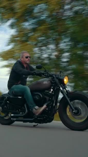 Motorrad Auf Der Waldstraße Unterwegs Video — Stockvideo