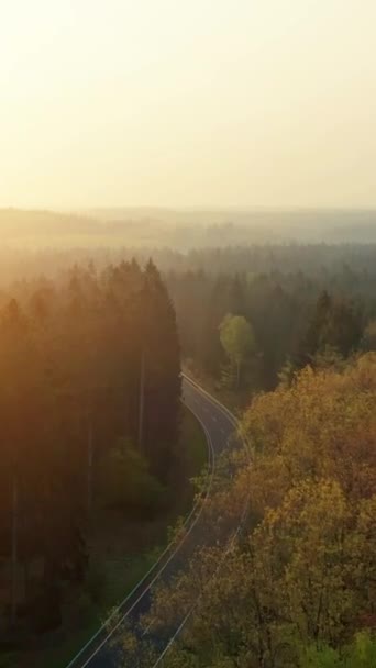 Εναέρια Λήψη Ενός Αυτοκινητόδρομου Στο Silent Forest Την Άνοιξη Όμορφες — Αρχείο Βίντεο