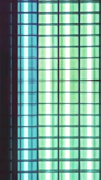 Флуоресцентные Неоновые Лампы Летящие Включении Выключении Вертикальное Видео Рассказа Катушки — стоковое видео