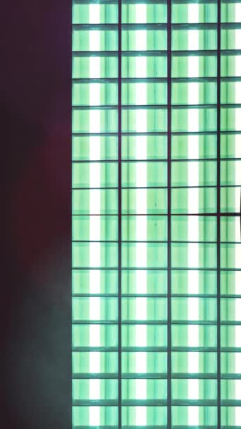 Флуоресцентні Неонові Лампочки Мерехтять Під Час Вмикання Вимикання Вертикальне Відео — стокове відео