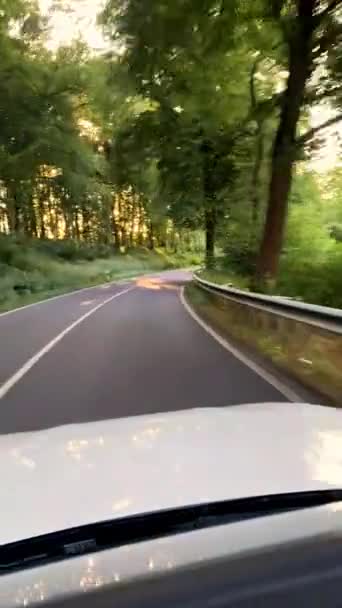 Convertable Car Sunny Nature Bright Summer Day Wide Angle Pursuit — Stock Video