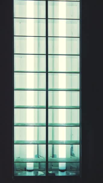 Флуоресцентні Неонові Лампочки Мерехтять Під Час Вмикання Вимикання Вертикальне Відео — стокове відео