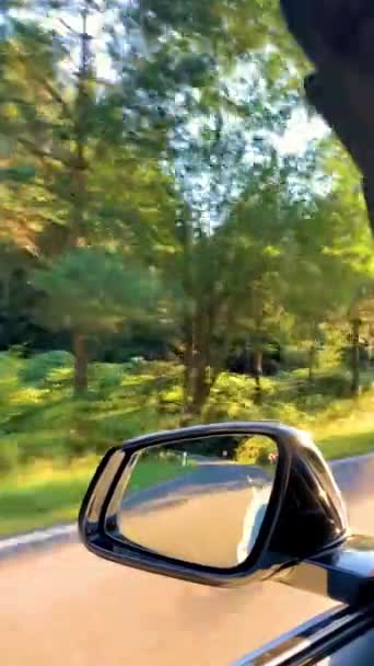 Взрослый Мужчина Едет Конвертируемом Автомобиле Солнечной Природе Яркий Летний День — стоковое видео
