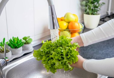 Kadın elleri mutfakta taze salata hazırlamak için marul yıkıyor. Sağlıklı çiğ organik yiyecekler, vitaminler, böcek ilacı konseptinden sebzeleri yıkamak..