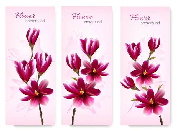 Nature Spring Banners Beautiful Magnolia Branches Vector — Stock Vector