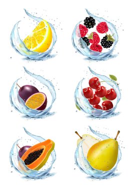 Meyve ve böğürtlen seti. Kayısı, karpuz, kiraz, papaja, ananas, limon, portakal, nane, çilek? Böğürtlen, ahududu, su sıçratma ve damla mango. Vektör illüstrasyonu.