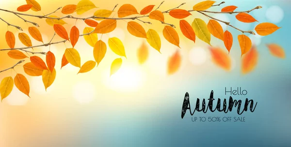 Outono Natureza Fundo Com Ramos Com Folhas Coloridas Sol Ilustração —  Vetores de Stock