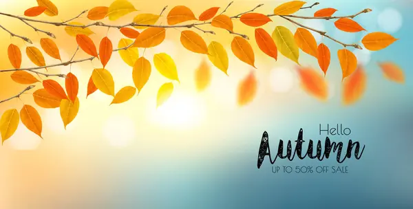 カラフルな葉と太陽の枝を持つ秋の自然の背景 ベクトルイラスト ロイヤリティフリーストックベクター