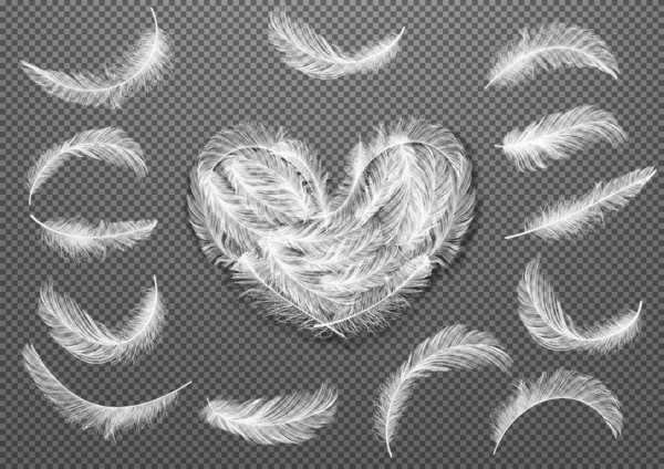 Big Set White Realistic Different Fluffy Twirled Falling Feathers Isolated Royalty Free Stock Illustrations