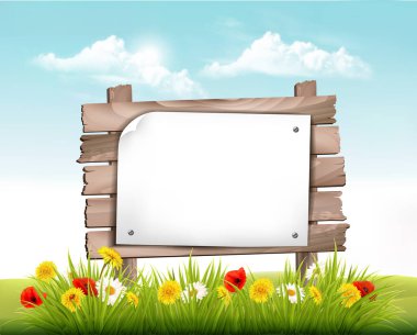 Papatya, haşhaş, dandelon çiçekleri ve ahşap tabelalı bahar manzarası. Vektör.