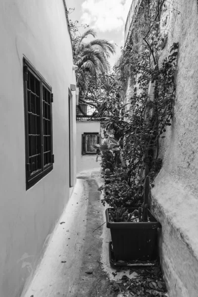 Anafiotika Bairro Minúsculo Scenic Atenas Parte Bairro Histórico Velho Chamado — Fotografia de Stock