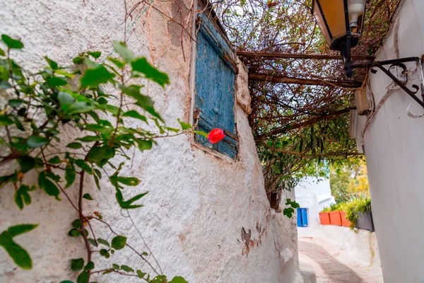 Anafiotika Atina Nın Manzaralı Küçük Bir Mahallesi Plaka Adında Eski — Stok fotoğraf