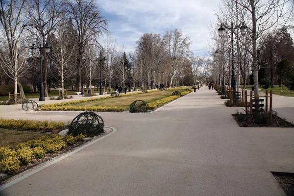 Madrid España Feb 2022 Escena Natural Paisaje Parque Del Retiro —  Fotos de Stock