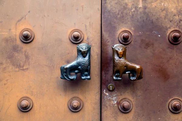Grunge Texture Detail Old Lion Shaped Door Handle Urban Architectural — Stock Photo, Image