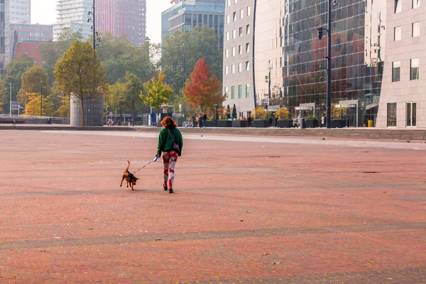 Rotterdam Holandia Października 2021 Niezidentyfikowana Kobieta Wyprowadzająca Psa Dzielnicy Blaak — Zdjęcie stockowe
