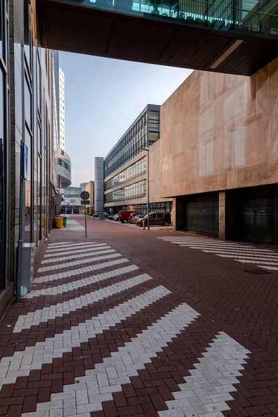 네덜란드 로테르담 2021 네덜란드 로테르담의 지구에 현대식 사무실 건축물 — 스톡 사진