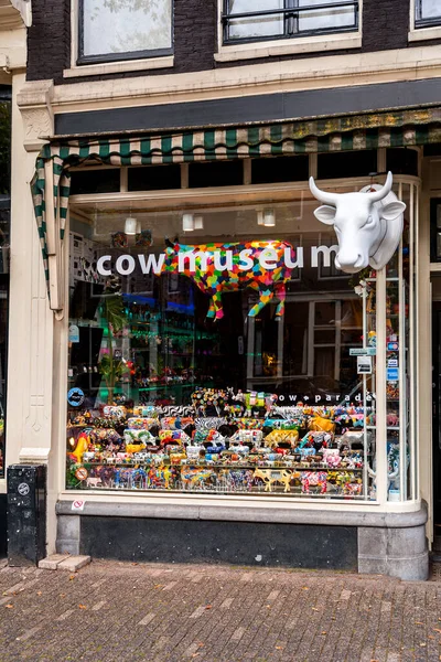 2021年10月10日 Oct阿姆斯特丹 在Nl阿姆斯特丹奶牛博物馆销售的各种牛形玩具和雕像 — 图库照片