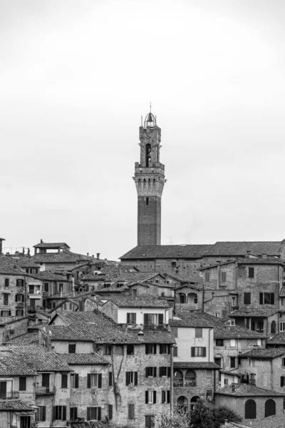 Palazzo Pubblico Town Hall Palace Located Piazza Del Campo Central — 스톡 사진