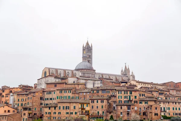Siena Kathedraal Een Middeleeuwse Kerk Siena Gewijd Vanaf Haar Vroegste — Stockfoto
