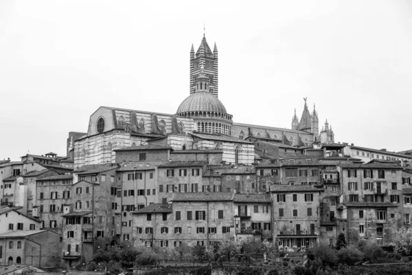 Siena Cathedral Jest Średniowiecznym Kościołem Sienie Poświęconym Najwcześniejszych Dni Jako — Zdjęcie stockowe