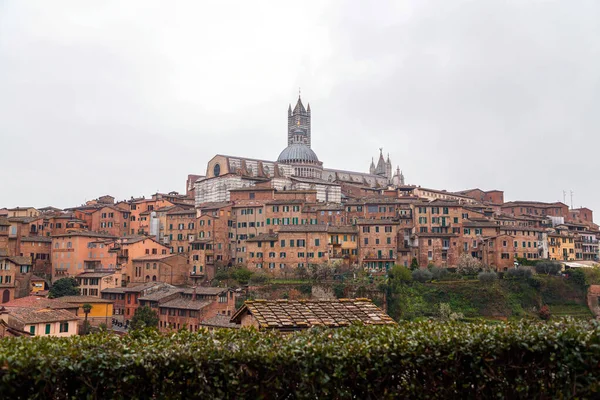 Siena Cathedral Medieval Church Siena Dedicated Its Earliest Days Roman — Fotografia de Stock