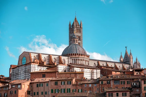 Siena Cathedral Medieval Church Siena Dedicated Its Earliest Days Roman — Foto Stock
