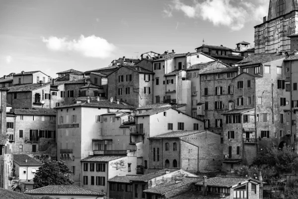 Aerial Architecture Street View Historical Italian City Siena Tuscany — Stok fotoğraf