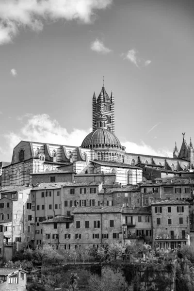 Die Kathedrale Von Siena Ist Eine Mittelalterliche Kirche Siena Die — Stockfoto