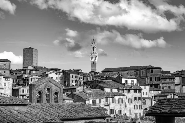 Generic Architecture Cityscape View Historical Italian City Siena Tuscany — 스톡 사진