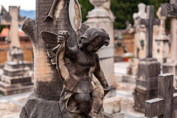 Флоренция Италия Апреля 2022 Года Cimitero Delle Porte Sante Sacred — стоковое фото