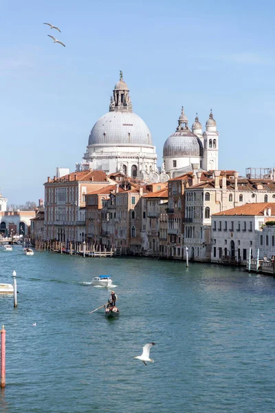 Βενετία Ιταλία Απριλίου 2022 Santa Maria Della Salute Είναι Μια — Φωτογραφία Αρχείου