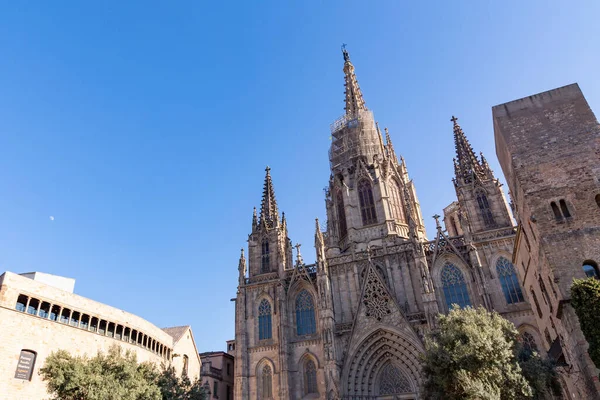 Cathedral Holy Cross Saint Eulalia Barcelona Cathedral Gothic Cathedral Seat — ストック写真