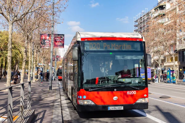Barcelona España Feb 2022 Barcelona D20 Autobús Sistema Transporte Público — Foto de Stock