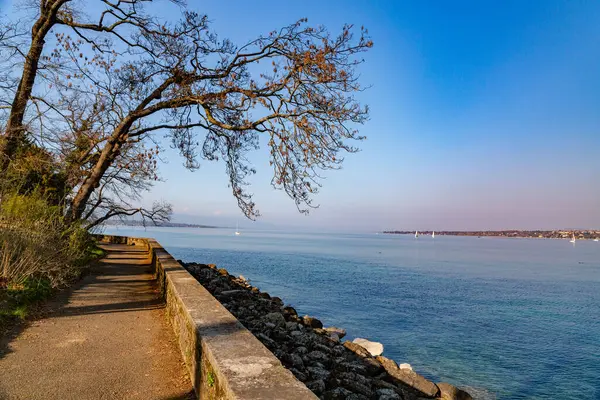 Szenische Aussicht Vom Genfer See Der Genfer Bucht Dem Französischen — Stockfoto
