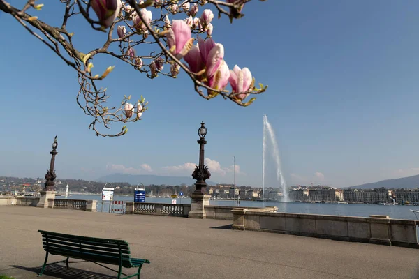 Genève Suisse Mars 2022 Beau Paysage Urbain Dans Parc Jardin — Photo