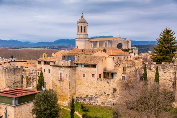 stock image Girona Cathedral, also known as the Cathedral of Saint Mary of Girona, is a Roman Catholic church located in Girona, Catalonia, Spain.