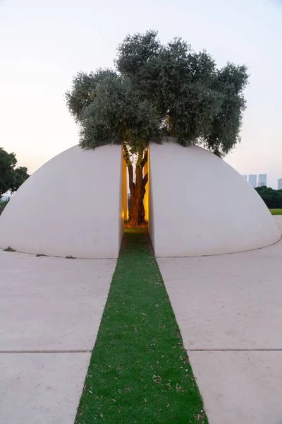 Tel Aviv Srail Oct 2023 Edith Wolfson Parkı Beyaz Meydan — Stok fotoğraf