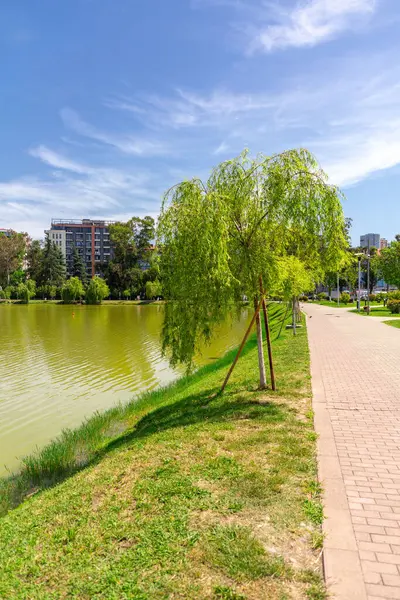 stock image Batumi, Georgia - 14 JUNE 2024: Nuri Lake is a natural lake surrounded with a sparse urban park in Batumi, Adjara, Georgia.