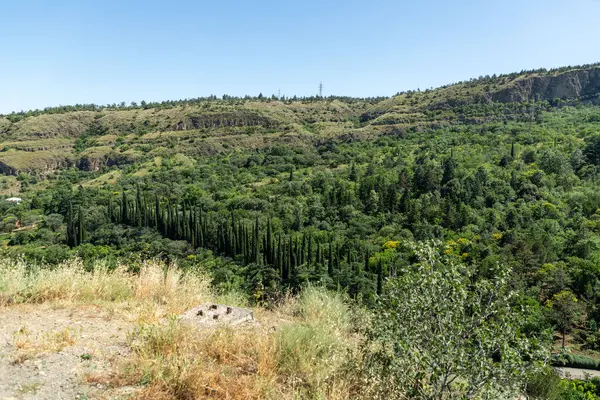 stock image Tbilisi, Georgia - 22 JUNE, 2024: Aerial view of the Tbilisi Botanical Garden from the Sololaki Mountain.